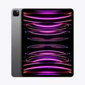 Apple iPad 9th Generation 256GB (Wi-Fi Only)
