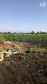 Fertile 1-Acre Farmland with Rich Soil & Water Access