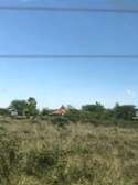 Affordable land  for sale in mwea