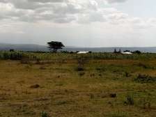 50×100 prime plots for sale at Mutaita in Nakuru East.