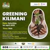 Greening Kilimani