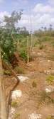 Chumani Serviced Plots in Kilifi County