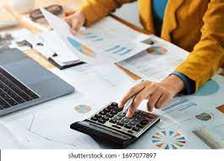 Freelance accounting services