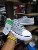 Converse lesther shoes
