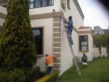 Looking for business partner for construction / renovation business.
