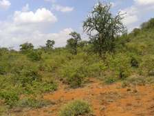 Prime land for sale in Sakeri-Ngong