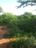 600 Acres For Sale in Mutha Region of Kitui County