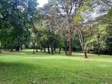 1.05 ac Land at Lavington Green