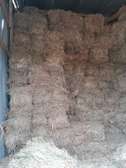 Bhoma Rhodes Grass Hay Bales For Sale
