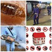 Bed Bug Control Experts Embakasi/Pipeline/Nyayo estate