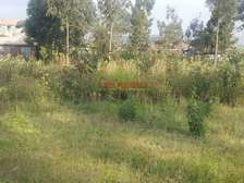 500 m² Commercial Land in Kikuyu Town