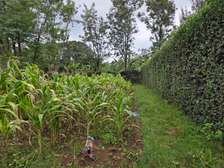 Residential Land in Karen