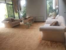 Sofa Set Cleaning Services in Kenol