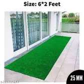 beautiful carpet grass