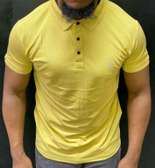 ELEGANT T SHIRTS