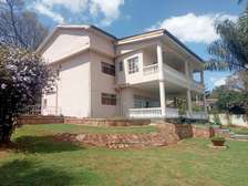 Fully Furnished 5-Bedrooms Palatial House in Spring Valley