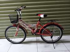 Lion king size 20 bicycle (6-10 years)