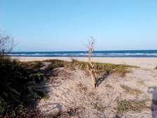 6 Acres beachfront land  for sale in Mambrui,Malindi