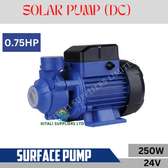 DC/ Solar water pump 0.75hp