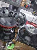 PD 18 Nacked speaker