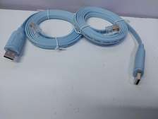 USB to RJ45 Console Cable