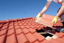 Roof, ceiling,Upholstery ,sewing and all other repair s