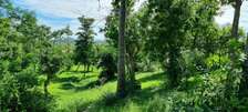 2.5 ac Land at Mtwapa Creekside