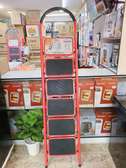 STEPPING LADDERS