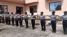 Professional Security Services in Muthaiga,Nairobi