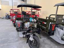 250 cc MECIN CARGO TUK TUK