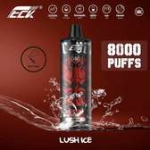 KK Energy 8000 Puffs Rechargeable Vape - Lush Ice
