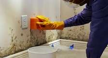 Safe Mould Treatment in Kitisuru, Kyuna & Loresho