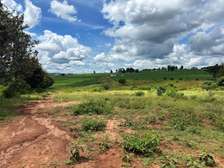 Prime 50x100 Plot for Sale – Ngoliba, Thika