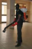 Pest Control and Fumigation Services Loresho
