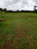 1.25acres land for sale in ndeiya makutano