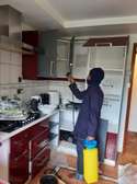 Pest Control and Fumigation Services Ngara