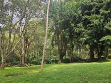 1/4 Acre On 1st Parklands