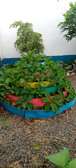 Conical multistorey gardens from old car tyres