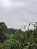 4 ac Land in Kitisuru