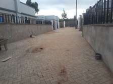 Amazing 3 BR Houses plus Sqs in Ngong