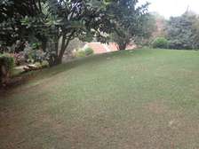 0.5-Acre Plot For Sale in Westlands