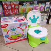 Potty with step stool