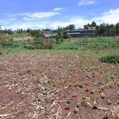 40X80ft PLOT FOR SALE AT KENOL. 100MTRS FROM HIGHWAY