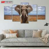 Elephant Wall Art