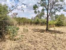 Residential Land at Deliverance Church