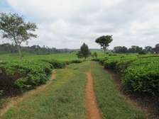 Land in Kiambu Town