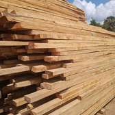 All  types of timber