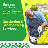Gardening and Landscaping Services in Karen