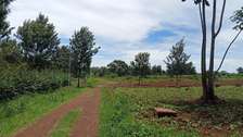 0.5 ac Land in Tatu City