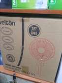 Velton wall fan